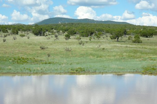 Property photo 24 - 7,320 Acres Offered in 5 Tracts